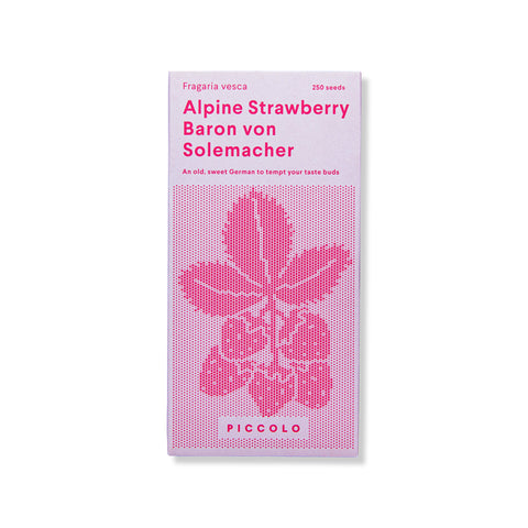 Piccolo Seeds - Alpine Strawberry